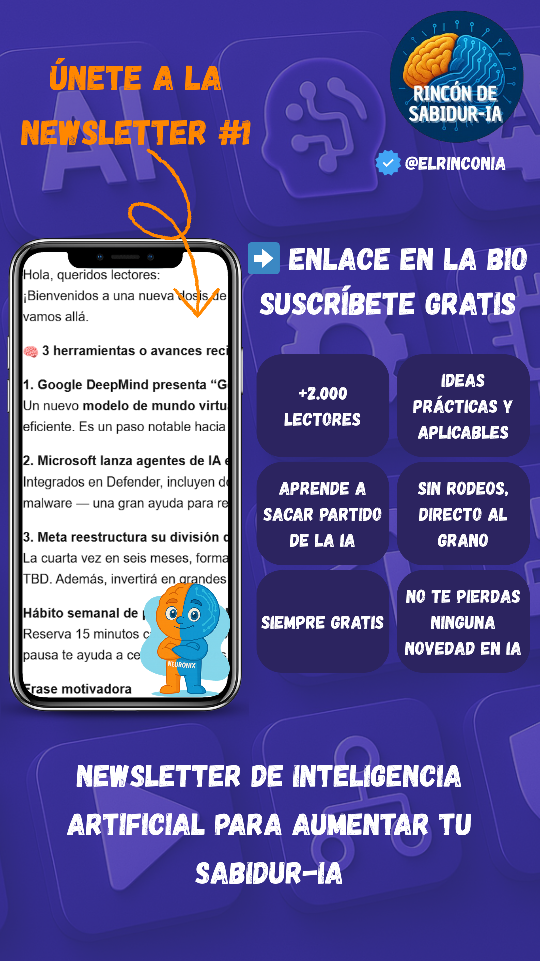 Ejemplo Newsletter